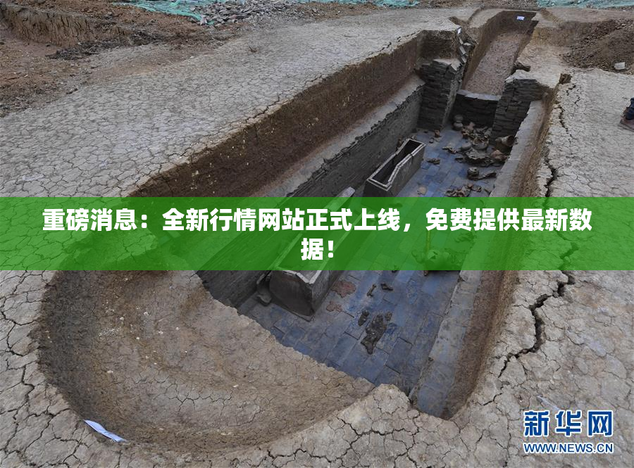 重磅消息：全新行情网站正式上线，免费提供最新数据！