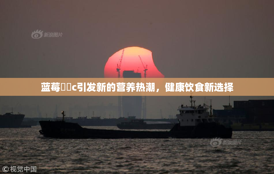 蓝莓❌‌c引发新的营养热潮，健康饮食新选择