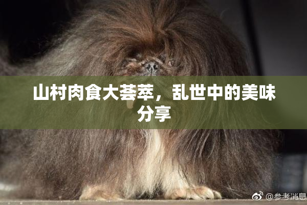 山村肉食大荟萃，乱世中的美味分享