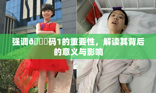 强调🈚码1的重要性，解读其背后的意义与影响