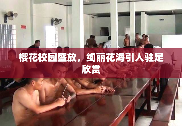 樱花校园盛放，绚丽花海引人驻足欣赏