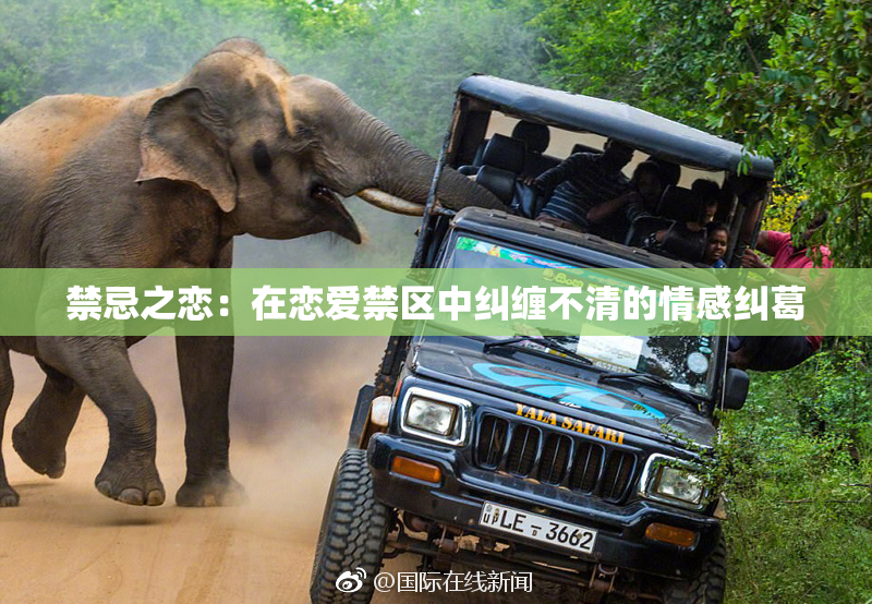 禁忌之恋：在恋爱禁区中纠缠不清的情感纠葛