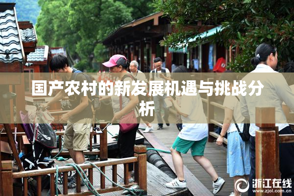 国产农村的新发展机遇与挑战分析