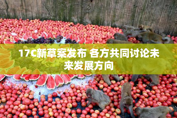 17C新草案发布 各方共同讨论未来发展方向