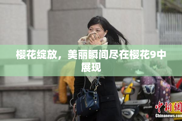 樱花绽放，美丽瞬间尽在樱花9中展现