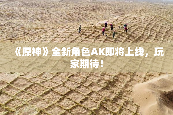《原神》全新角色AK即将上线，玩家期待！