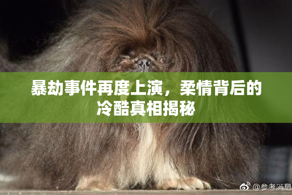 暴劫事件再度上演，柔情背后的冷酷真相揭秘