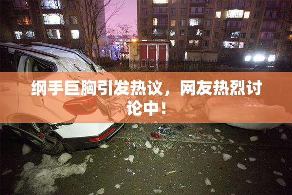 纲手巨胸引发热议，网友热烈讨论中！