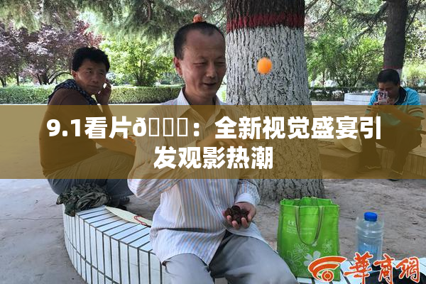 9.1看片🐔：全新视觉盛宴引发观影热潮
