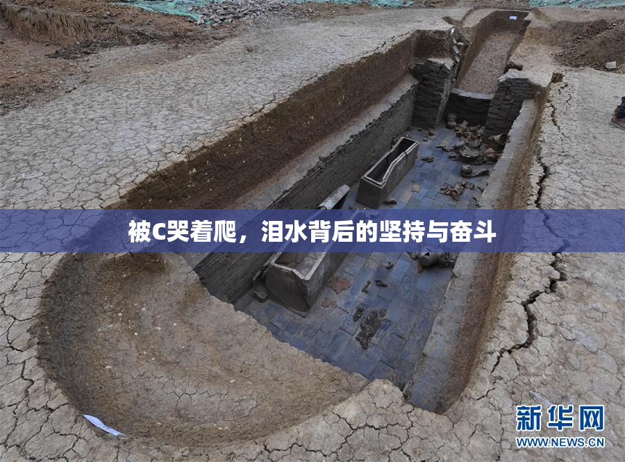 被C哭着爬，泪水背后的坚持与奋斗