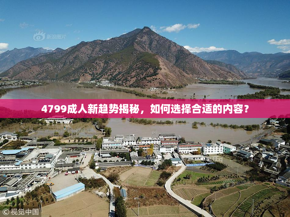 4799成人新趋势揭秘，如何选择合适的内容？