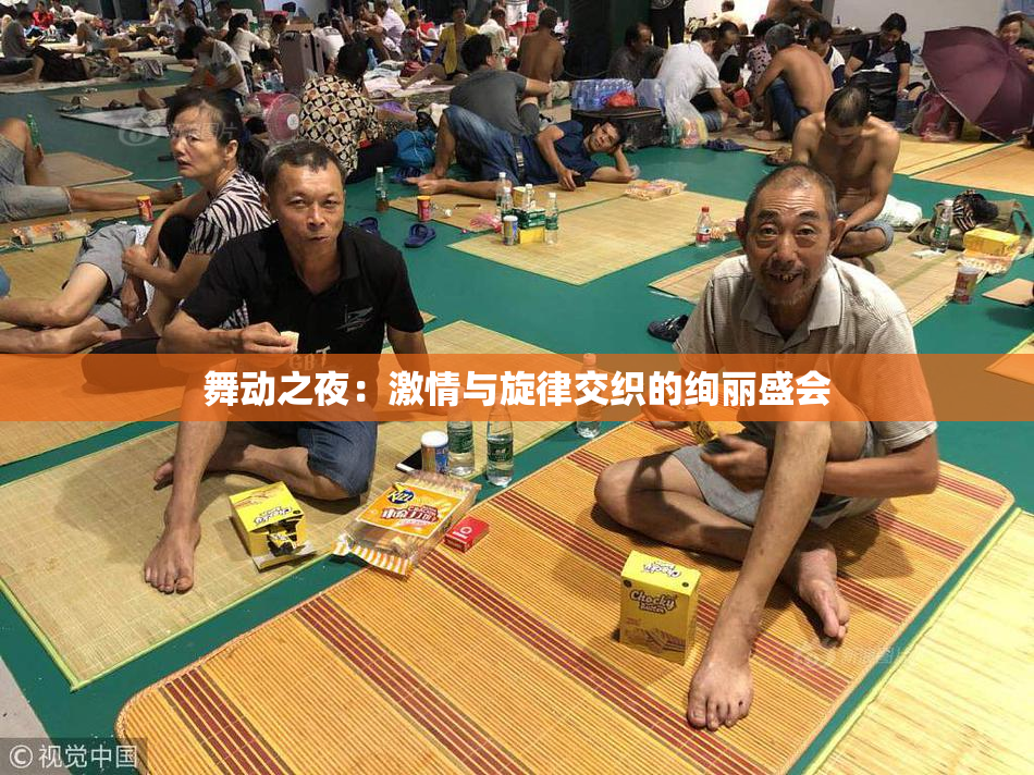 舞动之夜：激情与旋律交织的绚丽盛会