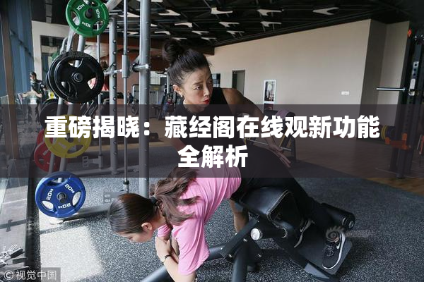 重磅揭晓：藏经阁在线观新功能全解析