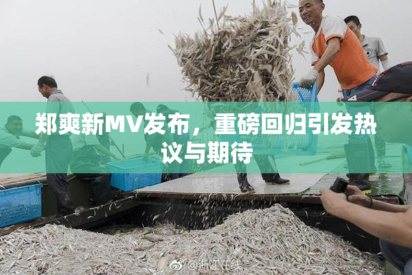 郑爽新MV发布，重磅回归引发热议与期待