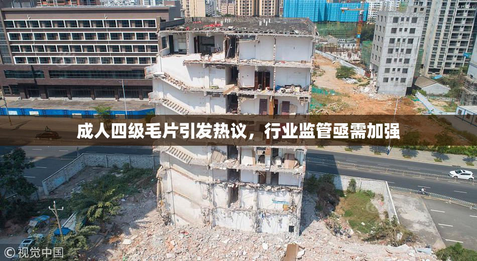 成人四级毛片引发热议，行业监管亟需加强