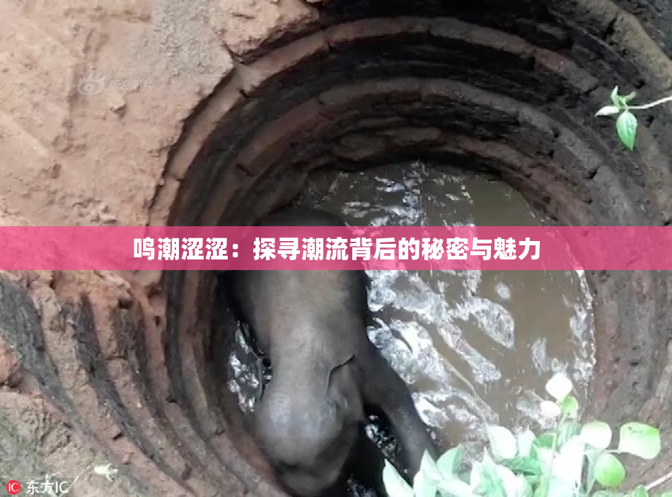 鸣潮涩涩：探寻潮流背后的秘密与魅力