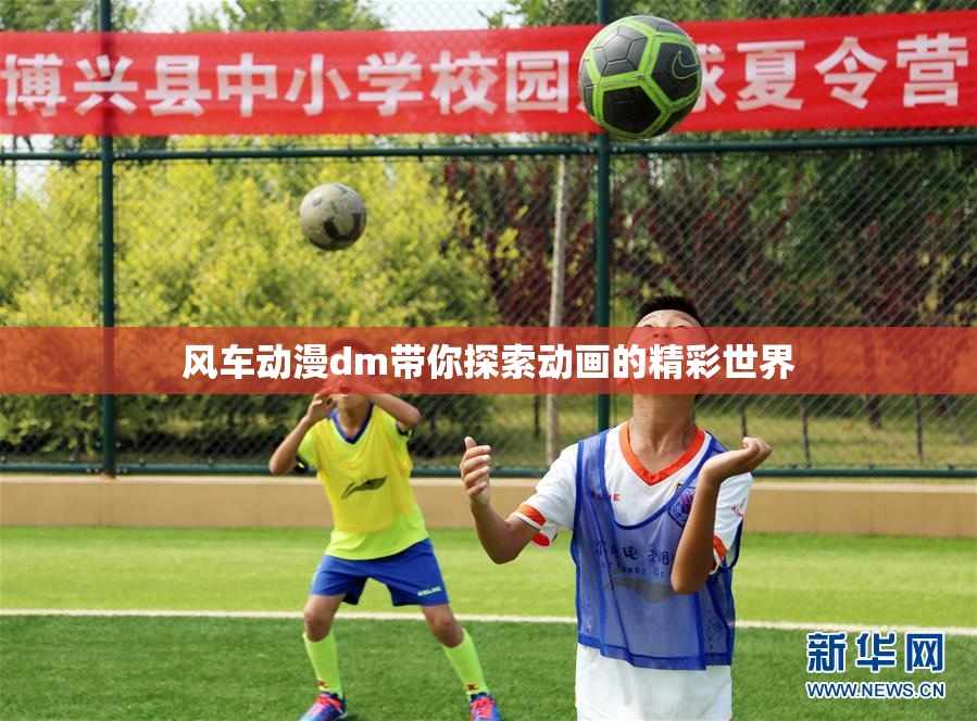 风车动漫dm带你探索动画的精彩世界