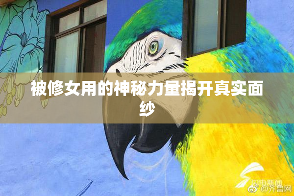 被修女用的神秘力量揭开真实面纱