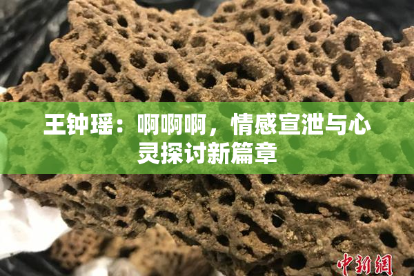 王钟瑶：啊啊啊，情感宣泄与心灵探讨新篇章