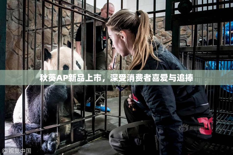 秋葵AP新品上市，深受消费者喜爱与追捧
