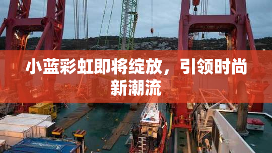 小蓝彩虹即将绽放，引领时尚新潮流