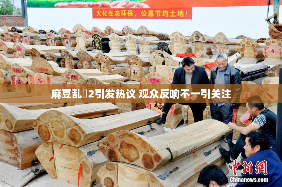 麻豆乱婬2引发热议 观众反响不一引关注