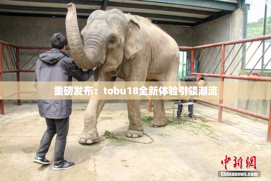 重磅发布：tobu18全新体验引领潮流
