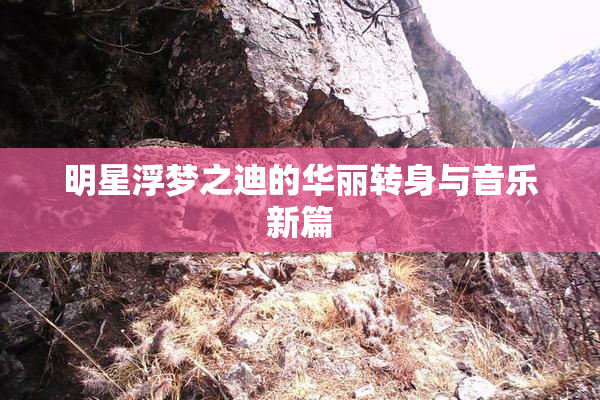 明星浮梦之迪的华丽转身与音乐新篇