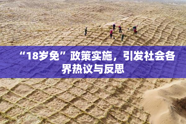 “18岁免”政策实施，引发社会各界热议与反思
