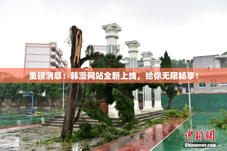 重磅消息：韩漫网站全新上线，给你无限畅享！