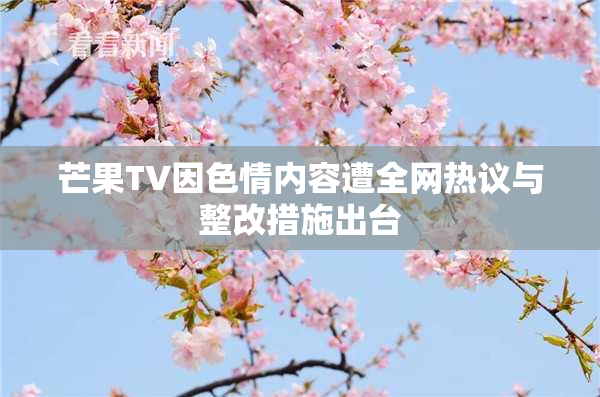 芒果TV因色情内容遭全网热议与整改措施出台