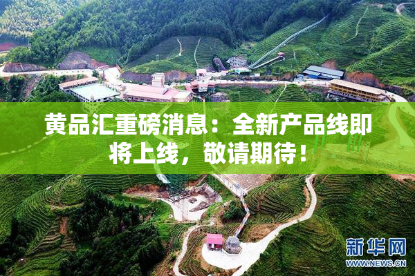 黄品汇重磅消息：全新产品线即将上线，敬请期待！
