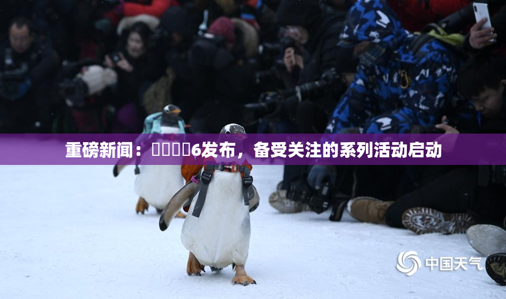 重磅新闻：❌‌❌‌6发布，备受关注的系列活动启动