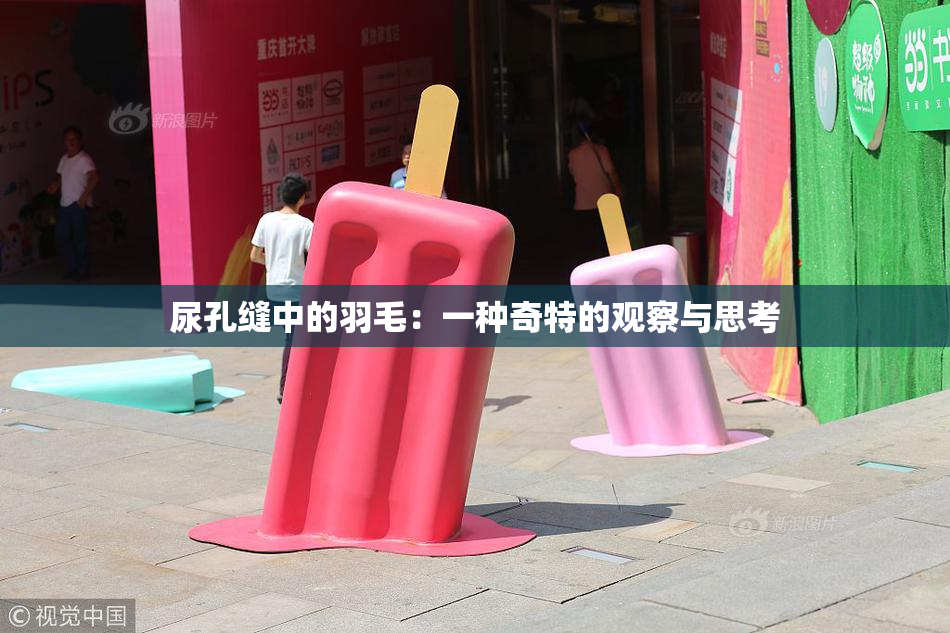 尿孔缝中的羽毛：一种奇特的观察与思考