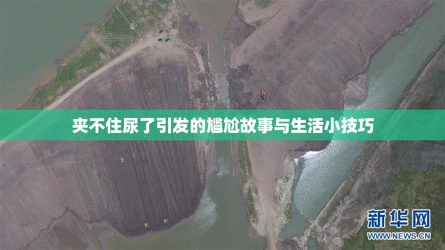 夹不住尿了引发的尴尬故事与生活小技巧