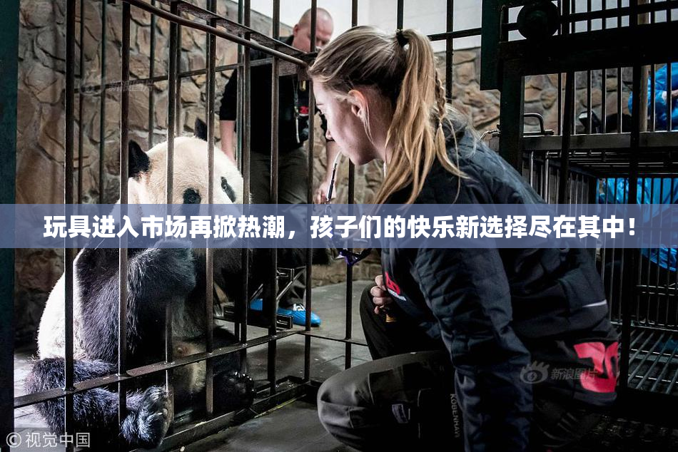 玩具进入市场再掀热潮，孩子们的快乐新选择尽在其中！