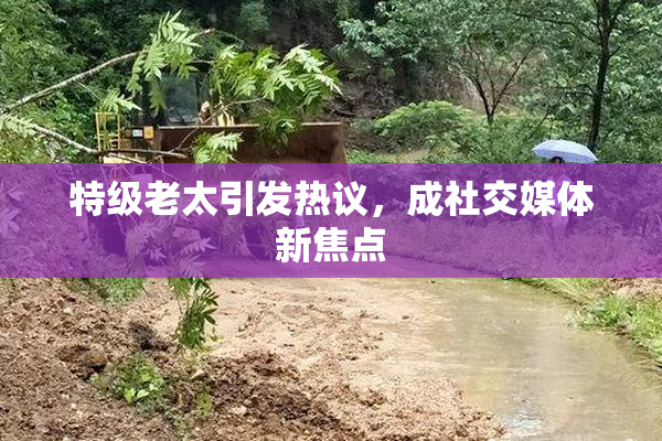 特级老太引发热议，成社交媒体新焦点