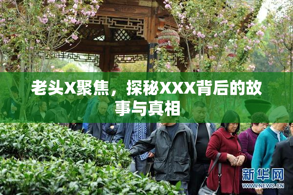老头X聚焦，探秘XXX背后的故事与真相