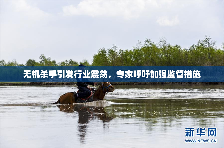 无机杀手引发行业震荡，专家呼吁加强监管措施