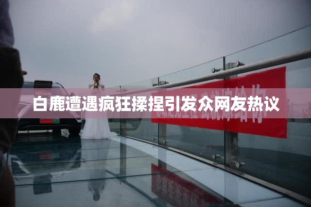 白鹿遭遇疯狂揉捏引发众网友热议