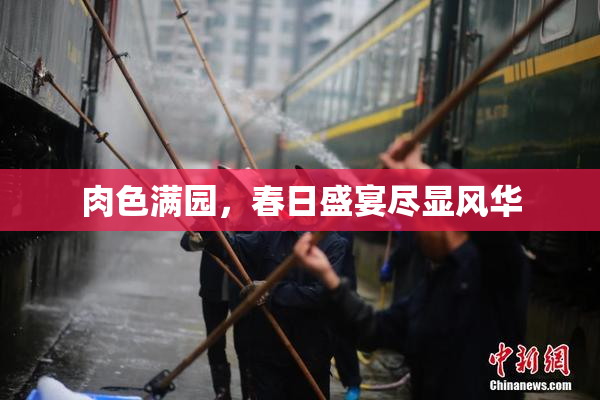 肉色满园，春日盛宴尽显风华