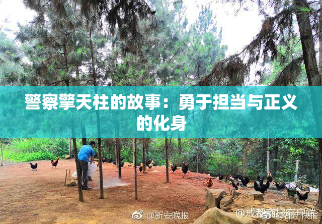 警察擎天柱的故事：勇于担当与正义的化身