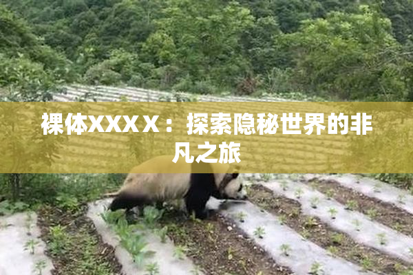 裸体XXXⅩ：探索隐秘世界的非凡之旅