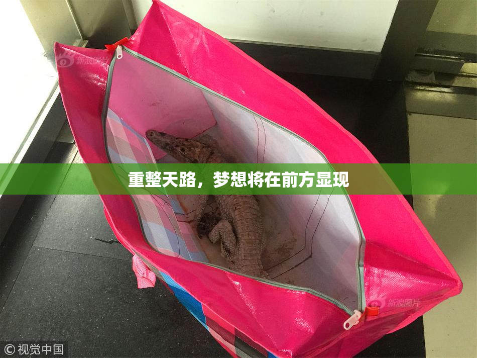 重整天路，梦想将在前方显现