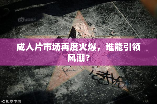 成人片市场再度火爆，谁能引领风潮？