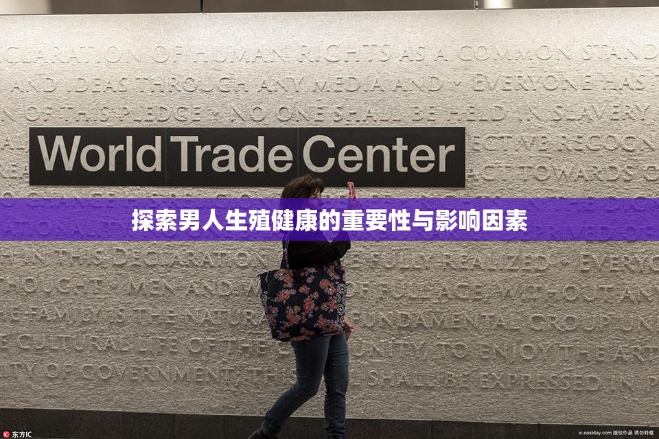 探索男人生殖健康的重要性与影响因素