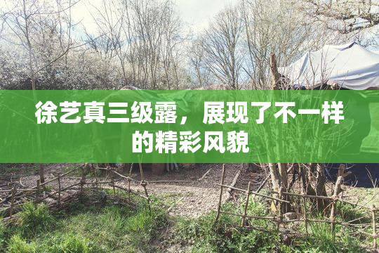 徐艺真三级露，展现了不一样的精彩风貌
