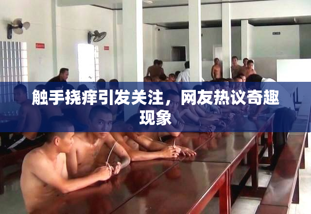 触手挠痒引发关注，网友热议奇趣现象