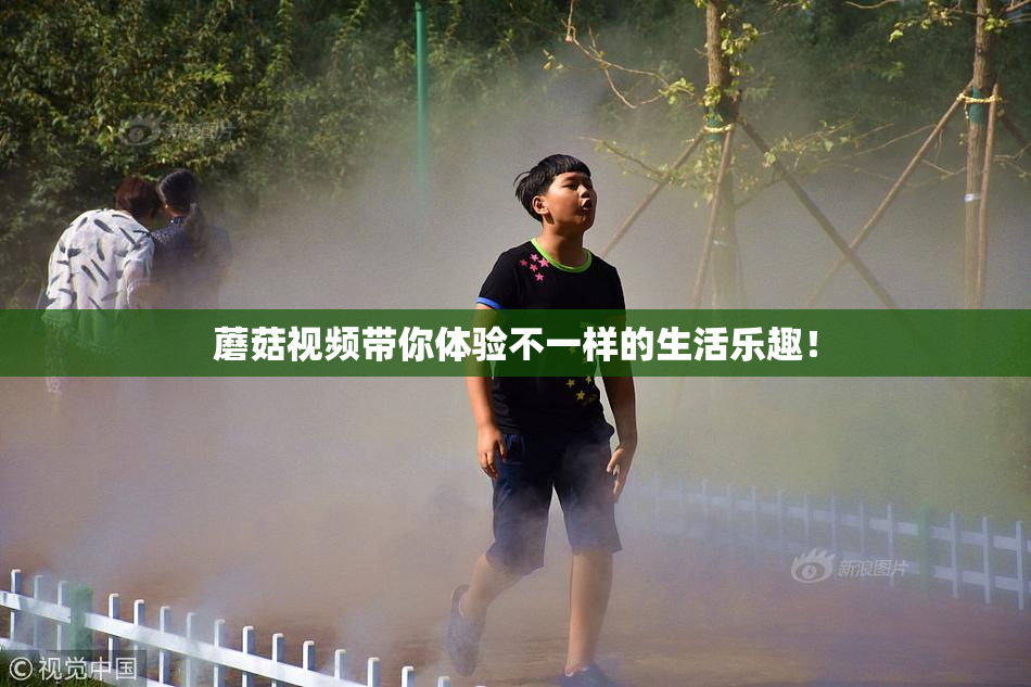 蘑菇视频带你体验不一样的生活乐趣！