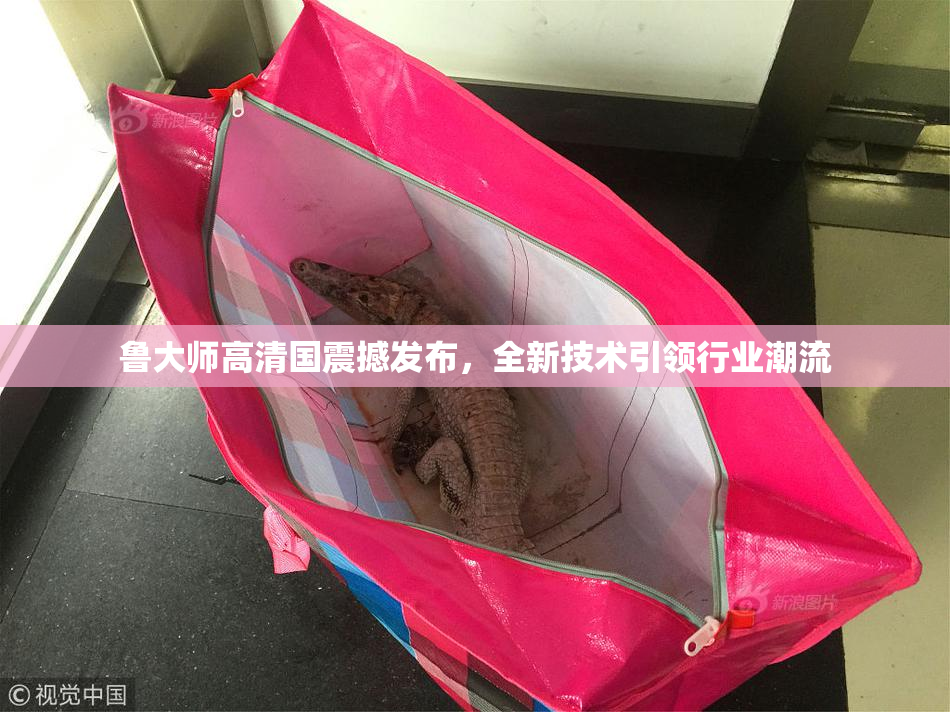 鲁大师高清国震撼发布，全新技术引领行业潮流